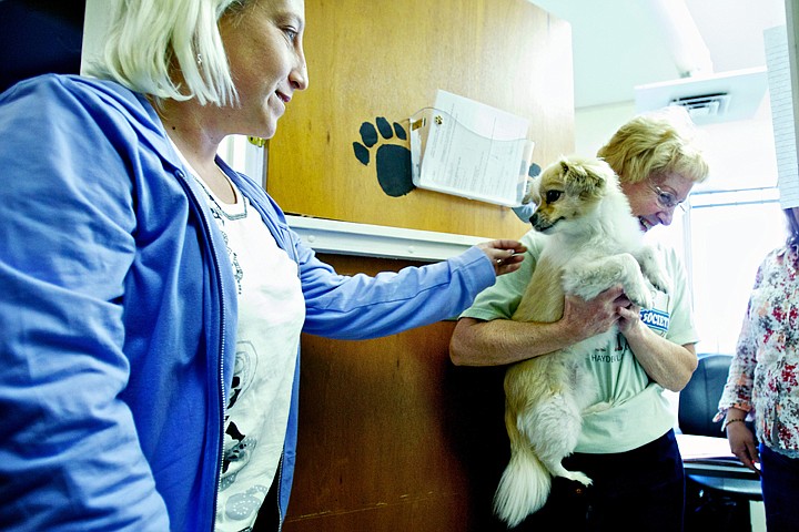 &lt;p&gt;JEROME A. POLLOS/Press Idella Mansfield, left, development coordinator for the Kootenai Humane Society, pets one of two dogs Wednesday that Chris McDowell, administrative operations manager, keeps in her office.&lt;/p&gt;