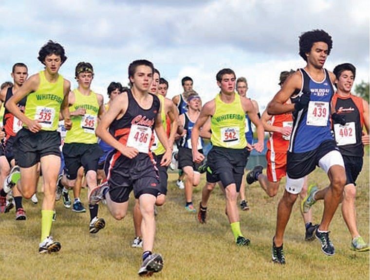 <p>Ronan’s Danny Romero runs hard at the start of the Whitefish
Invitational.</p>
