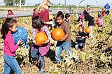 Second-graders raid the pumpkin patch