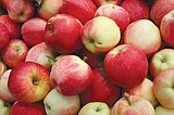 Experts see 'normal' apple harvest, marketing season