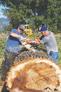 Pastor Jim Sinclair of the Assembly of God Church works to saw tree trunks into smaller segments for use as firewood.