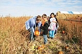 Second graders visit the pumpkin patch