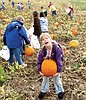 Return of the pumpkin patch kids