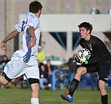 Wildcats playoff hopes dashed