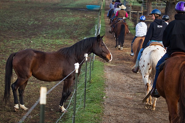 &lt;p&gt;Kayla Hern makes eye contact as she passes a horse at Bridal Path Stables during a horseback riding lesson during a class outing.&lt;/p&gt;