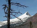 Missing hikers in Glacier found alive