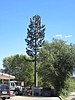 100-foot cell tower denied