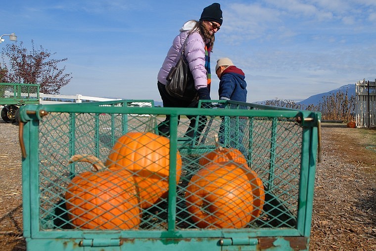 Amy Byrd helps her son Hudson, 4, pull a trailer full of pumpkins collected at Sweet Pickin&#146;s Pumpkin Patch on Tuesday morning. Despite the weekend&#146;s frigid weather, the farm was able to store its pumpkins in trailers, between bales of hay, and under insulated tarps to keep them from freezing.