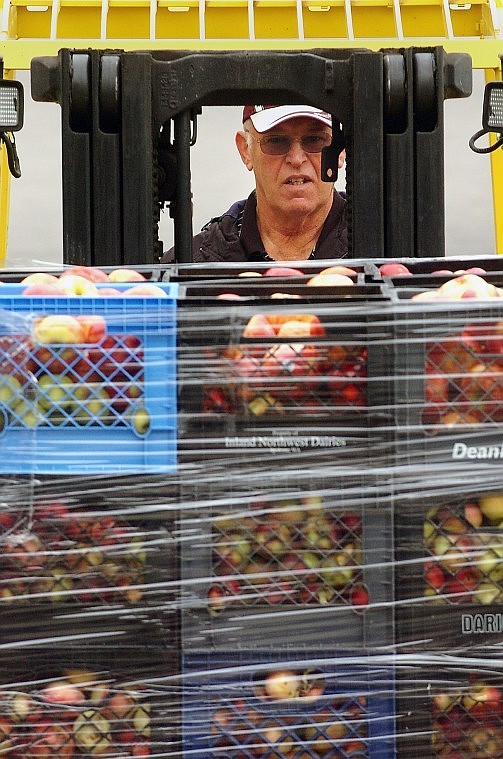 John Thomas drives a forklift full of apples on Friday toward the entrance of Flathead Food Bank&#146;s new location at the Gateway Community Center (formerly Gateway West Mall). The organization&#146;s new facility is 10,600 square feet, four times the size of its former location. The food bank plans to open Tuesday at the new site.