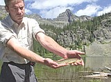Study reveals pesticides in Glacier lakes
