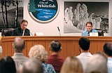 House District 4 race turns negative