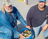 Fresh News From MarDon