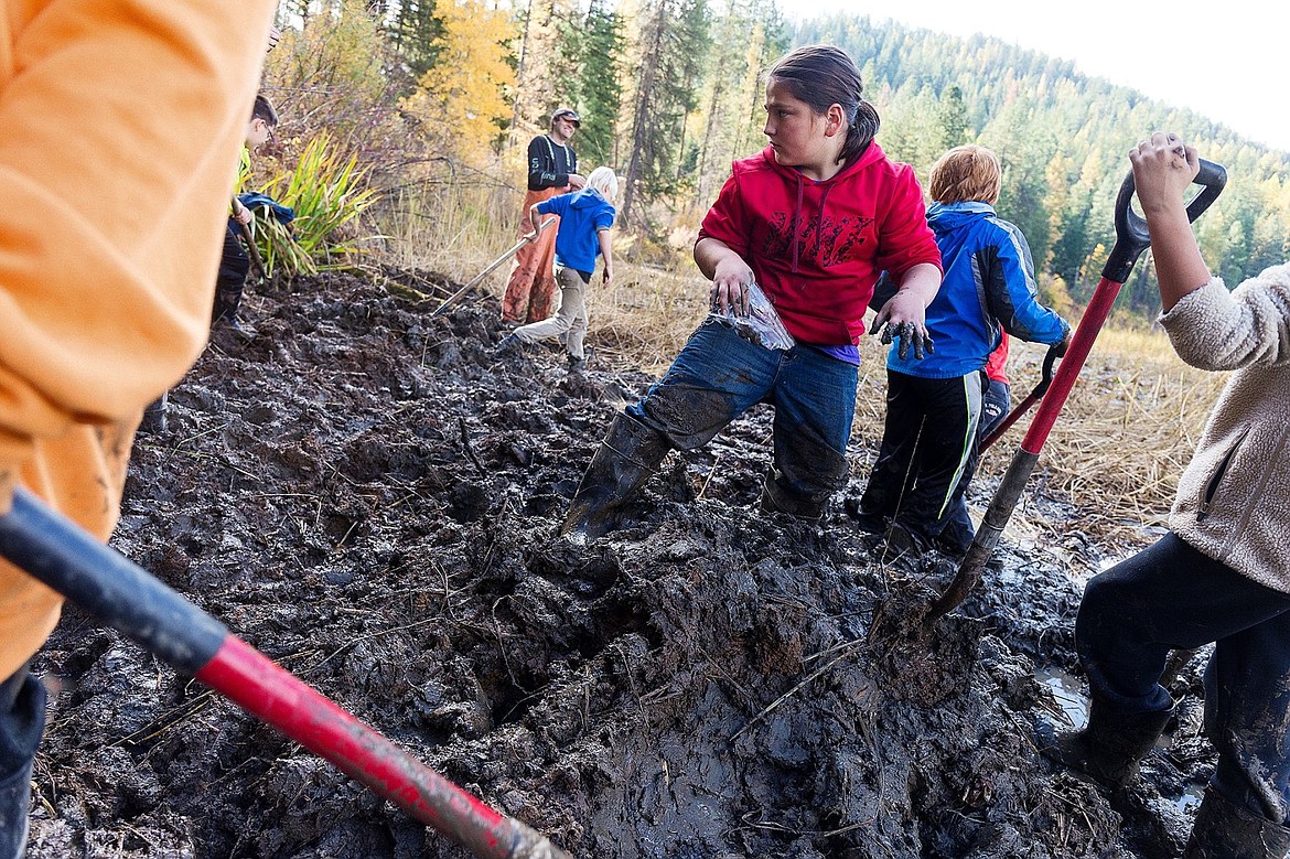 &lt;p&gt;Blaine Stamper-Schaeffer, a fifth-grade student at Farmin Stidwell Elementary School in Sandpoint, wades in knee-deep mud near the shore of a marshy area at Heyburn State Park while searching for water potatoes.&lt;/p&gt;