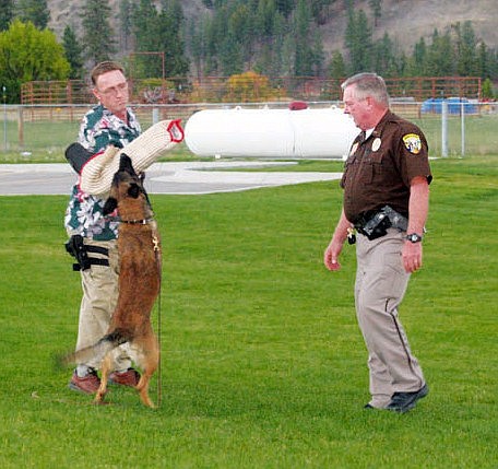 Tony Lapinski and James Balenger demonstrate how Max, the department's canine, excutes the bite-and-hold technique.