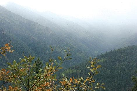 Jamie Doran/Valley Press The view atop Cox Gulch Road where the Plains-Thompson Falls Ranger District along with 18 members of the community visited to talk about fuel reduction in the area.