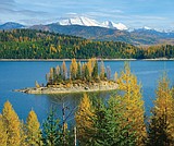 South Fork timber sales still await court ruling