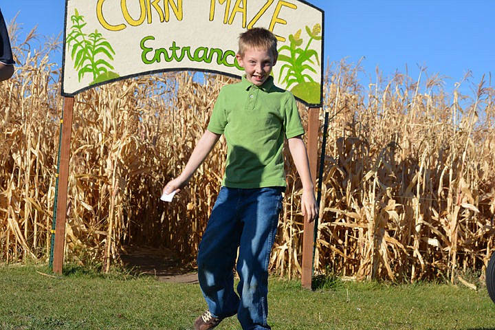 1022 corn-greenboy.jpg