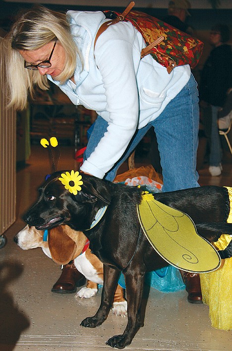 &lt;p&gt;Paula Dahlen of Coeur d&Otilde;Alene brought her boxer-lab mix Willow, foreground, and basset hound Julia, background, to the Dogtoberfest fundraiser for the Kootenai Humane Society on Saturday.&lt;/p&gt;