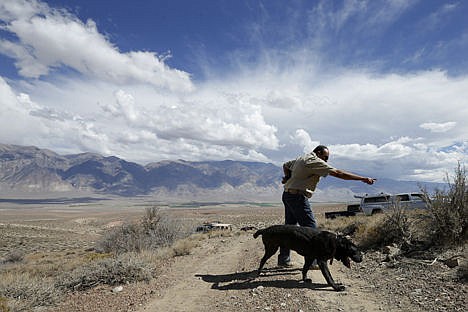 &lt;p&gt;Paul Dostie points as his dog Buster sets off to search an area near Bishop, Calif., on Sept. 20.&lt;/p&gt;