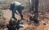 Fewer deaths in desert