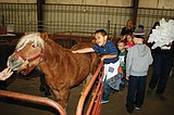 First-graders introduced to farming on Farm Day
