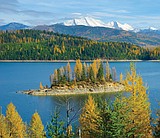 Hungry Horse timber projects move ahead