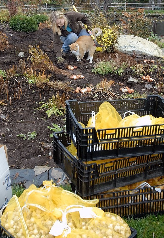 Bibler Gardens Planting