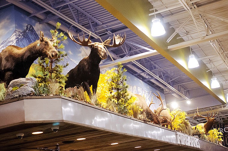 &lt;p&gt;Animal mounts line the wall above the firearms department. The new store is slated to open Nov. 7.&lt;/p&gt;