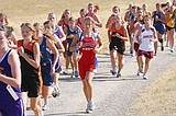 Carlson places 13th at state
