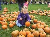 Families entertained at Harvest Festival