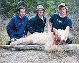 Pair faces charges in albino bear hunt