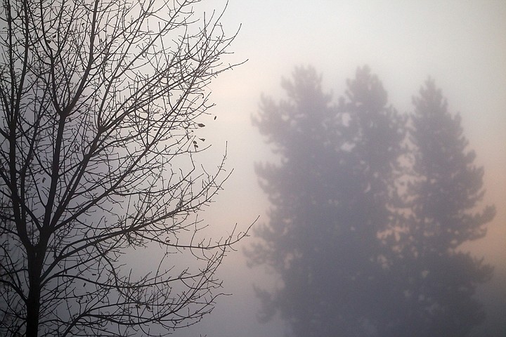 &lt;p&gt;JEROME A. POLLOS/Press The glow from the sunrise breaking over Best Hill backlights pine trees and bare branches during a heavy fog Wednesday.&lt;/p&gt;