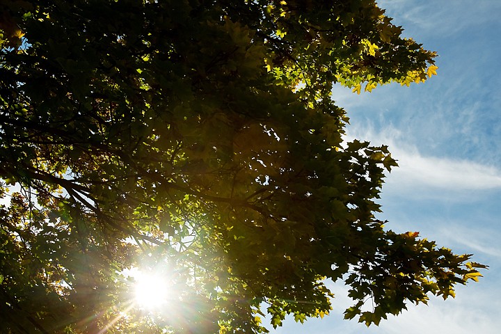 &lt;p&gt;JEROME A. POLLOS/Press The morning sun filters through the branches and changing leaves Tuesday at North Idaho College.&lt;/p&gt;