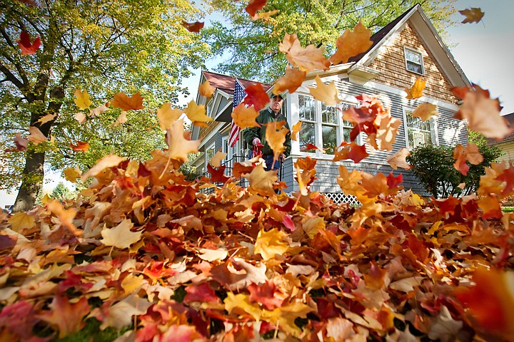 &lt;p&gt;JEROME A. POLLOS/Press Bill Wright uses a leaf blower to clear his front yard Wednesday in downtown Coeur d'Alene. Wright, who has lived in the home for the past 34 years, typically clears the leaves four a five times each fall since the different species of trees drop their leaves after different times.&lt;/p&gt;