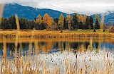 Planning board struggles with critical area exemptions
