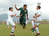 Dogs to play for state title