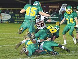 Dogs rumble into playoffs