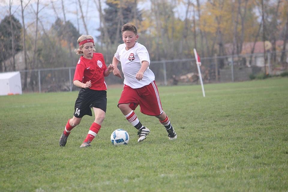 &lt;p&gt;Courtesy photo&lt;/p&gt;&lt;p&gt;Cooper Prohaska, right, of the Sting Timbers 05 boys Red battles an opponent for the ball last weekend.&lt;/p&gt;