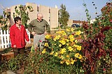 Community Gardens marks end of season