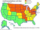 Montana ranks sixth in deer collisions