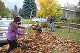 Putting the garden to bed for the winter
