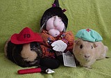 Halloween is for everyone, even Guinea pigs