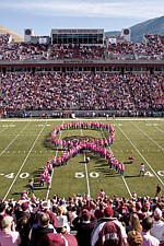 Breast cancer survivors line up at mid-field in the shape of a giant pink ribbon at the Oct. 9 University of Montana Grizzlies football game in Missoula.