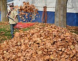 Scouts enjoy fall, assist community