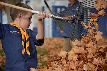 1029 loc scouts-navy close w LCL.jpg