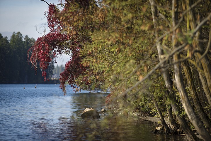 &lt;p&gt;GABE GREEN/Press The shores of the Spokane River are decorated by the bright colors of dying leaves.&lt;/p&gt;