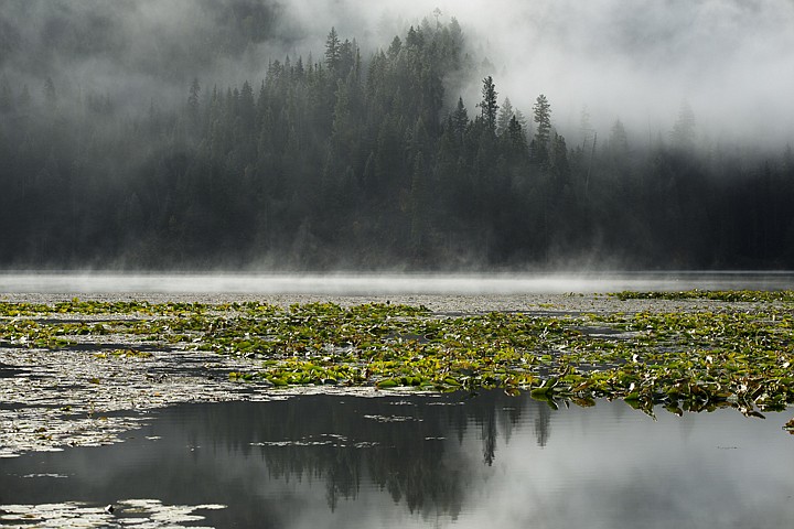 &lt;p&gt;GABE GREEN/Press The reflection of a fog covered hill can be seen in the still surface of Fernan Lake.&lt;/p&gt;