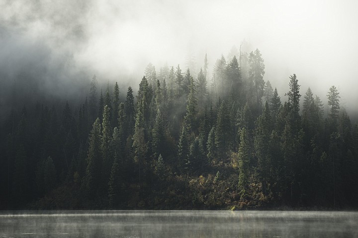 &lt;p&gt;GABE GREEN/Press Fog drifts off the water and through the trees one quiet morning on Fernan Lake.&lt;/p&gt;