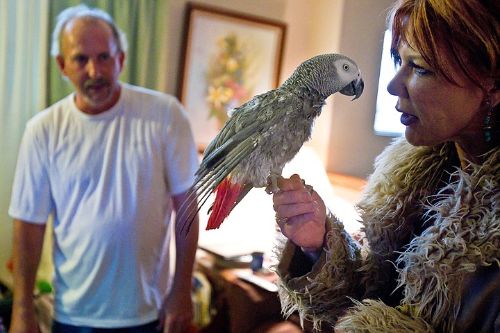 &lt;p&gt;Crystal Partenselder tries to comfort an African grey parrot that was given to her Monday by Peter Taylor who owned the bird for 12 years. Taylor decided to give the bird to Partenselder after reading about her efforts to find her parrot that flew away from her home in August.&lt;/p&gt;