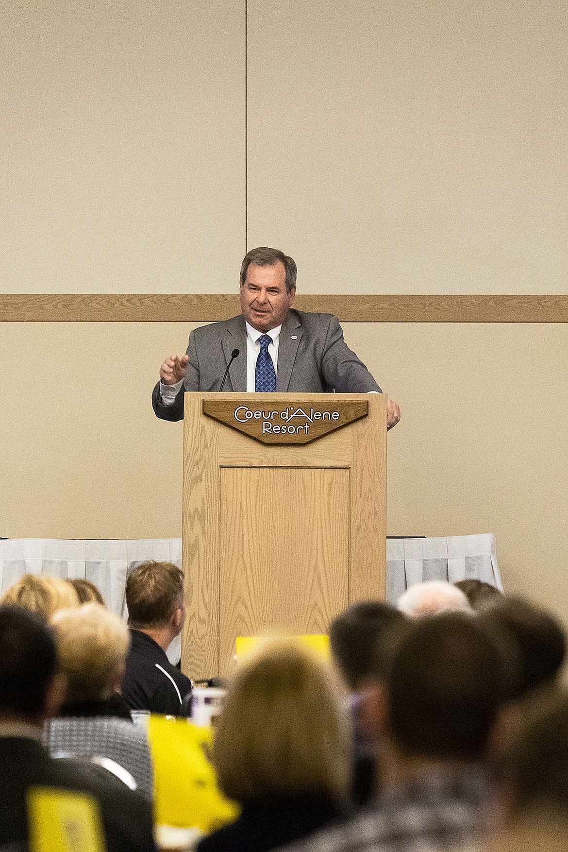 &lt;p&gt;Mike Towne, vice president and general manager of Frontier Communications, Co., delivers his keynote speech during the chamber&#146;s annual meeting.&lt;/p&gt;